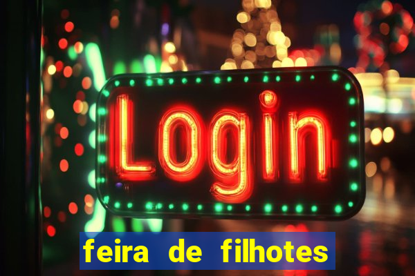 feira de filhotes porto alegre